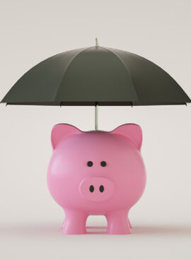 Piggy Bank with Umbrella, Financial Insurance, Protection