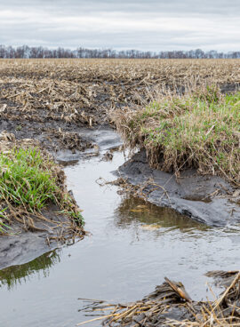 Spring storms and rain in Midwest caused flooding and soil erosion in farm fields